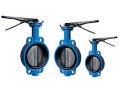 butterfly-valves-in-kolkata-small-0