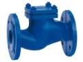 check-valves-suppliers-in-kolkata-small-0