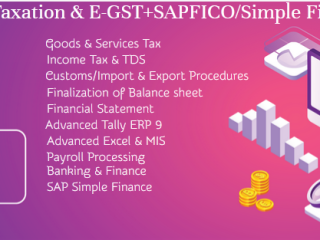 best-accounting-training-course-in-delhi-laxmi-nagar-sla-institute-tally-gst-sap-fico-certification-100-job-guarantee