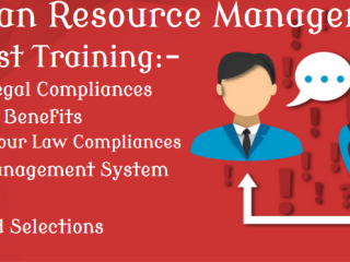 job-oriented-hr-classes-in-delhi-mukherjee-nagar-sla-consultants-india-free-sap-hcm-hr-analytics-certification