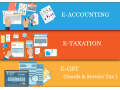 accounting-certification-training-delhi-loni-sla-learning-tally-prime-erp-96-gst-sap-fico-institute-100-job-in-mnc-feb-23-diwali-offer-small-0