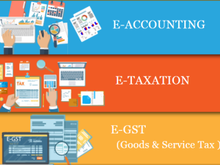 accounting-certification-training-delhi-loni-sla-learning-tally-prime-erp-96-gst-sap-fico-institute-100-job-in-mnc-feb-23-diwali-offer