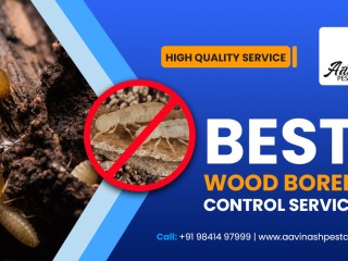 pest-control-services-in-chennai-aavinashpestcontrol