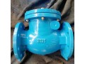 check-valve-suppliers-in-uae-small-0