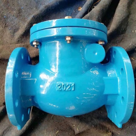 check-valve-suppliers-in-uae-big-0