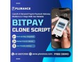 launch-your-multi-currency-crypto-payment-gateway-with-bitpay-clone-small-0