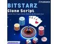 bitstarz-clone-script-your-ticket-to-a-million-dollar-casino-business-small-0