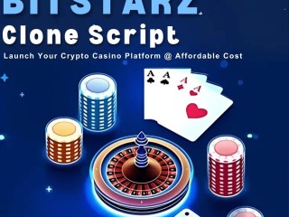 bitstarz-clone-script-your-ticket-to-a-million-dollar-casino-business