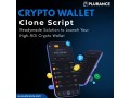 crypto-wallet-clone-script-fastest-way-to-launch-a-scalable-crypto-wallet-platform-small-0