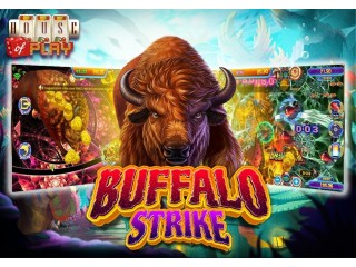 Play Buffalo Strike Fish Game Online