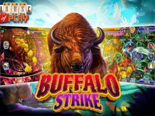 play-buffalo-strike-fish-game-online