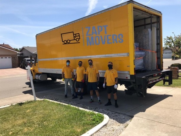 zapt-movers-big-1