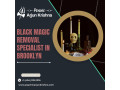 best-indian-astrologer-in-brooklyn-psychicarjunkrishna-small-0